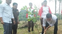 Bupati Ikut Tanam Program Penanaman Sejuta Pohon